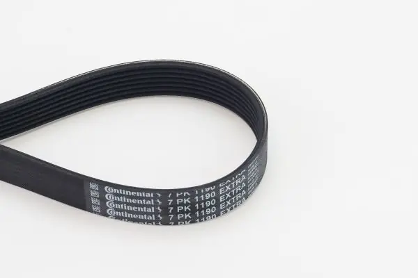 Meistverkauft CONTINENTAL CTAM Keilrippenriemen (7PK1190 EXTRA) KFZ-7094177