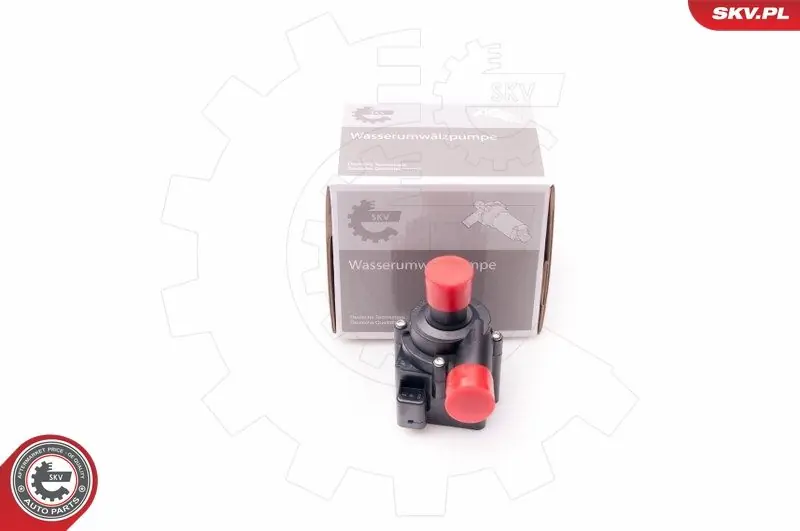 ESEN SKV Wasserumwälzpumpe, Standheizung (22SKV021) KFZ-6867854 Top-Preis
